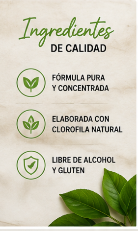 CLOROFILA BENEVOLENT X 60 ML