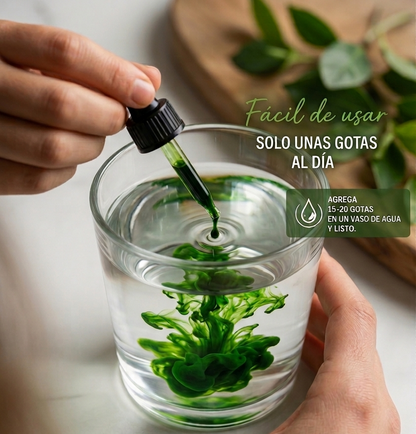 CLOROFILA BENEVOLENT X 60 ML