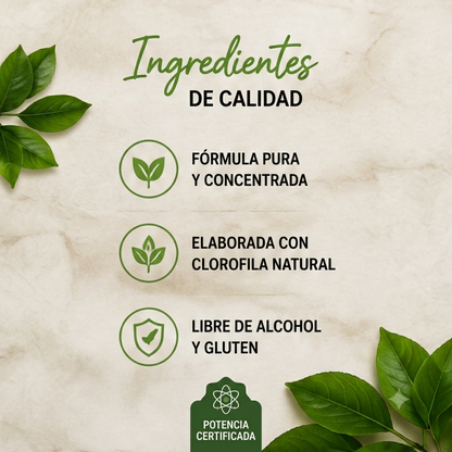 CLOROFILA BENEVOLENT X 60 ML